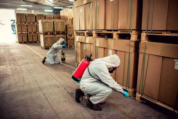 Best Mosquito Control Services  in Bayshore Gardens, FL