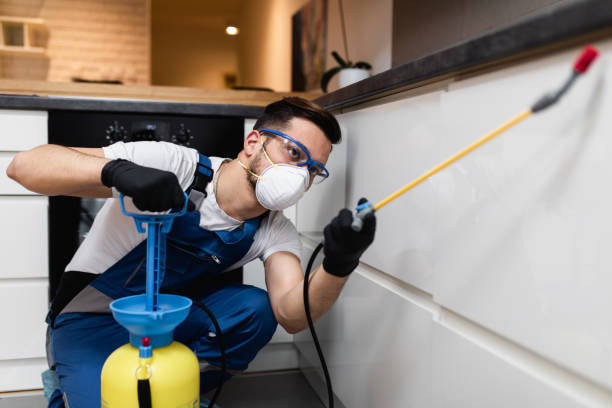 Wasp Removal Services in Bayshore Gardens, FL