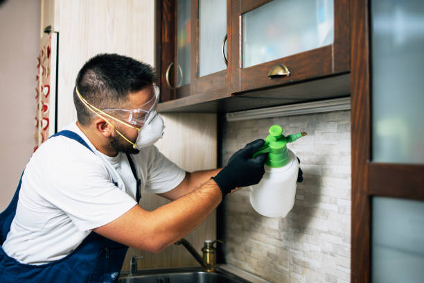 Best Affordable Pest Control Services  in Bayshore Gardens, FL
