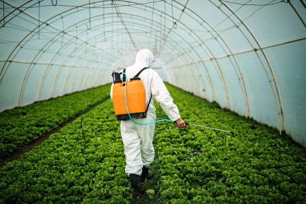 Best Pest Removal Services  in Bayshore Gardens, FL