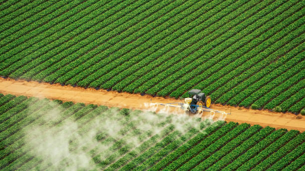 Best Commercial Pest Control Services  in Bayshore Gardens, FL