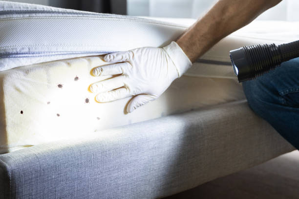 Best Emergency Pest Control  in Bayshore Gardens, FL