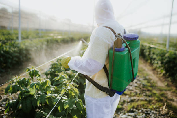 Best Cockroach Control Services  in Bayshore Gardens, FL